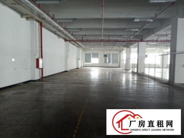  厚街寮厦社区厂房一楼900平米出租