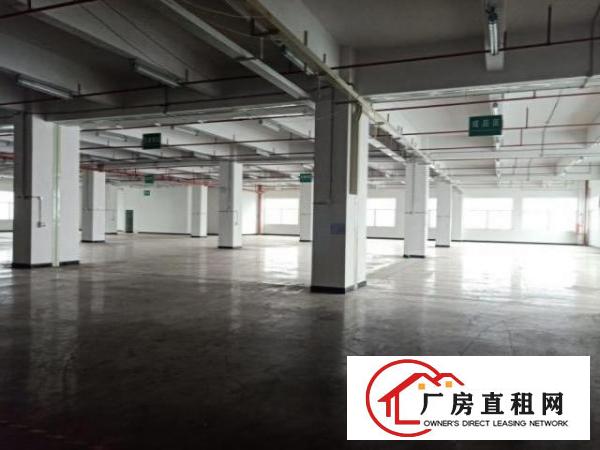  厚街寮厦社区厂房一楼900平米出租