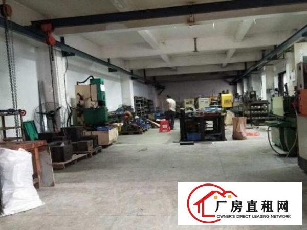  厚街珊美社区原房东直租一楼460平，有行吊