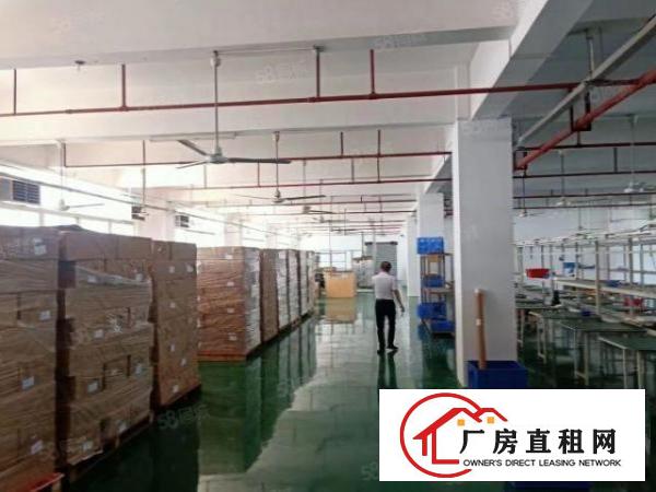  厚街新出楼上1200平厂房出租仓库出租，租下即可拎包生产！