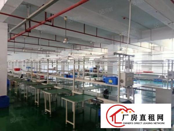  厚街新出楼上1200平厂房出租仓库出租，租下即可拎包生产！
