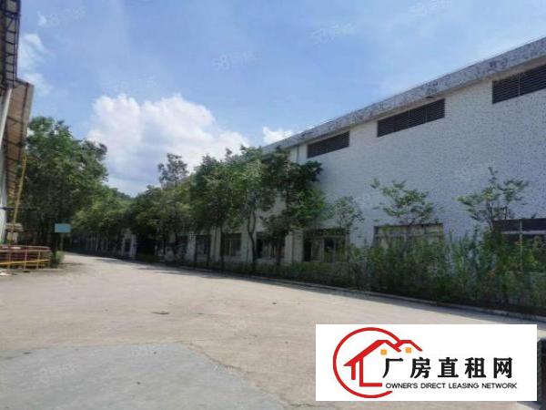  厚街新出现成注塑环评厂房2000平单一层9米高原房东直租