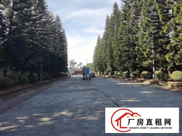  厚街新出现成注塑环评厂房2000平单一层9米高原房东直租
