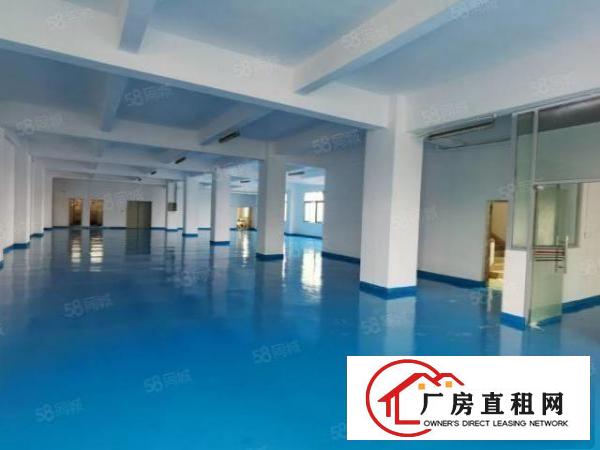  厚街涌口全新地坪漆现成装修厂房出租650平方现成办公室