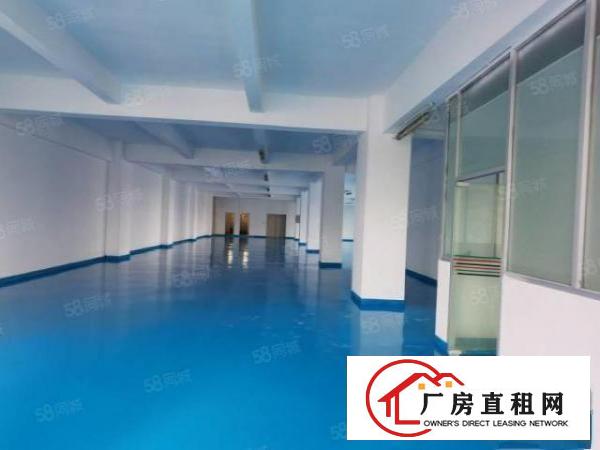  厚街涌口全新地坪漆现成装修厂房出租650平方现成办公室
