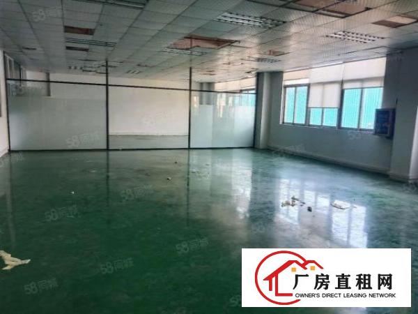  厚街新出独院带豪华装修办公室厂房1800平厂房出租仓库出租