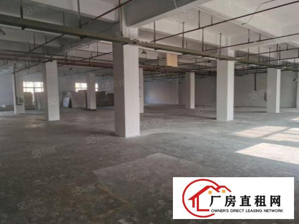  莞太路边工业园一楼1500平方厂房仓库出租有办公室装修好招工