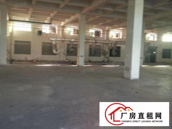  厚街三屯新出可做熔喷布厂房招租1500平方，有塑胶环评