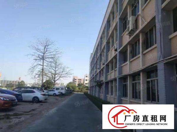 厚街三屯新出可做熔喷布厂房招租1500平方，有塑胶环评