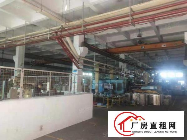  厚街三屯新出可做熔喷布厂房招租1500平方，有塑胶环评