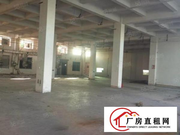  厚街三屯新出可做熔喷布厂房招租1500平方，有塑胶环评