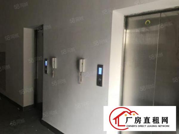  实拍全新厂房（空地超大）单层3860平方，采光好电梯好用