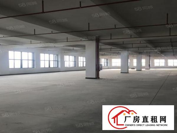  实拍全新厂房（空地超大）单层3860平方，采光好电梯好用