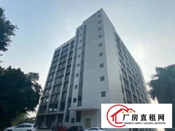  实拍全新厂房（空地超大）单层3860平方，采光好电梯好用