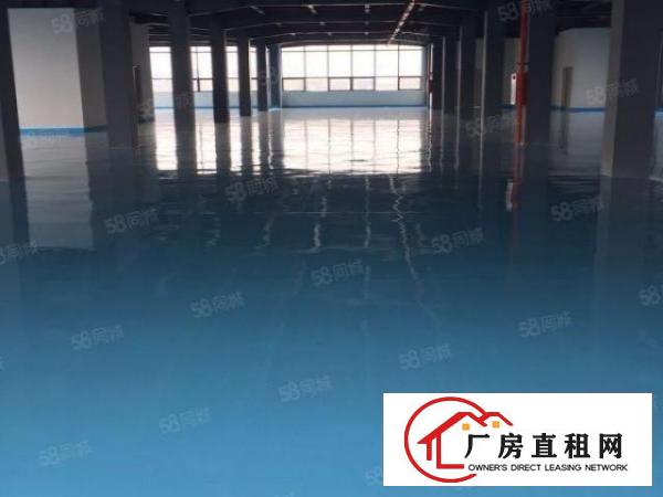  厚街全楼上轻钢构厂房全新1880方已装修