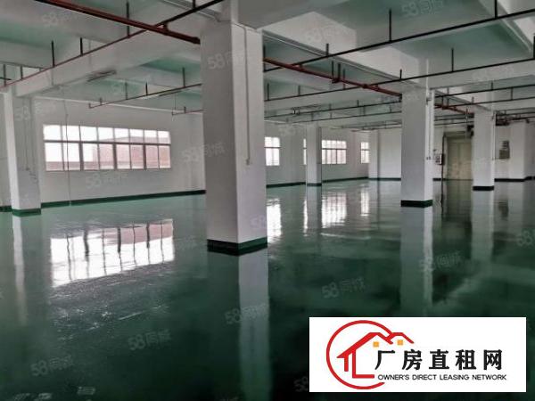  厚街整层1100平方全新地坪漆水电已到位中心区