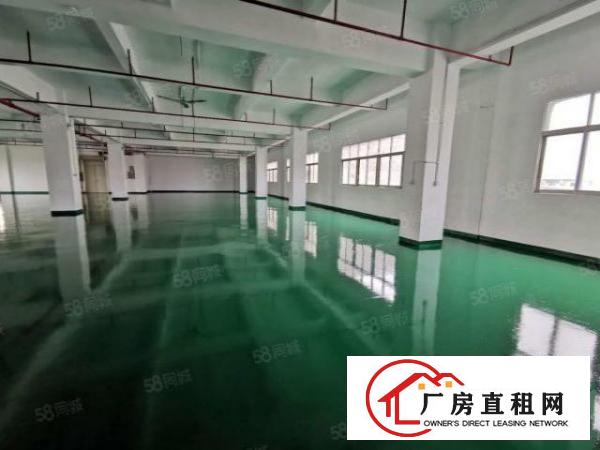  厚街整层1100平方全新地坪漆水电已到位中心区