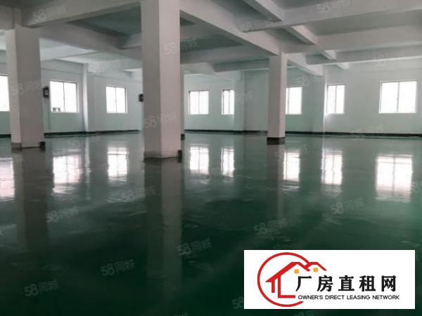  厚街白濠村新出厂房450平出租，带有现成精装办公室和2吨货梯