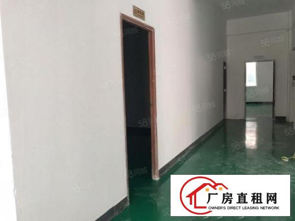  厚街白濠村新出厂房450平出租，带有现成精装办公室和2吨货梯
