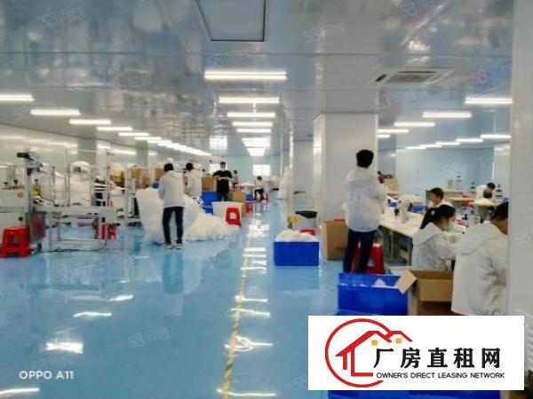  东莞厚街靠虎门原房东独院花园式厂房无尘车间低价招租可以分租