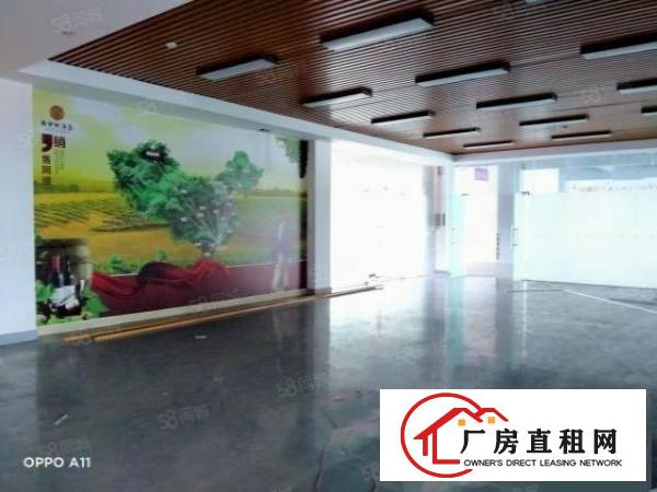  东莞厚街靠虎门原房东独院花园式厂房无尘车间低价招租可以分租