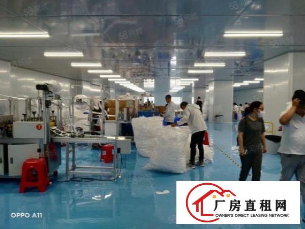  东莞厚街靠虎门原房东独院花园式厂房无尘车间低价招租可以分租
