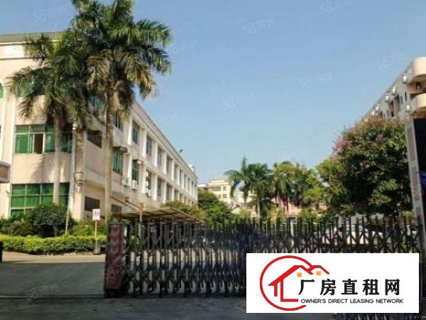  厚街3楼550平方有一个办公室厂房出租仓库出租全新地坪漆