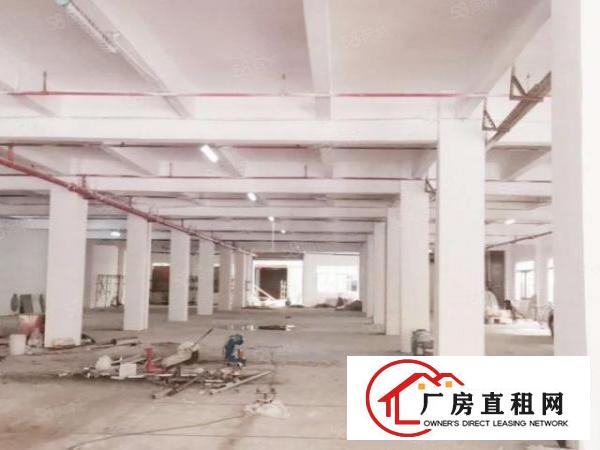  （新建厂房）独栋厂房精装修带2吨货梯现成消防喷淋