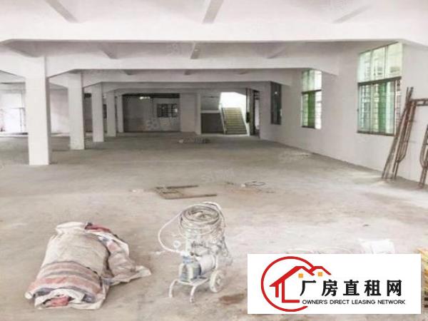  （新建厂房）独栋厂房精装修带2吨货梯现成消防喷淋