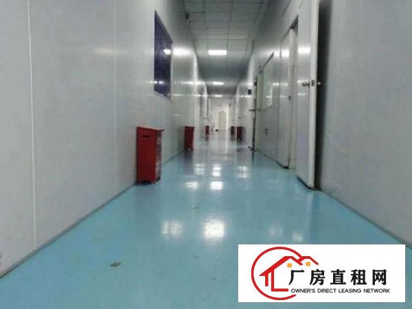  厚街镇府新出楼上600方无尘车间，价格15块，无转让费，拎包