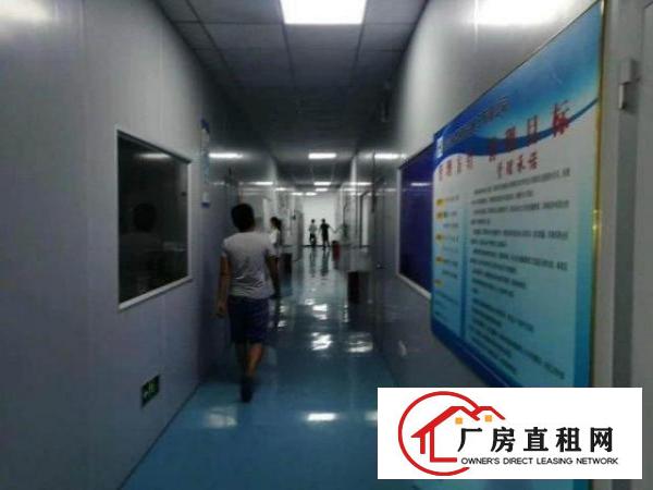  厚街镇府新出楼上600方无尘车间，价格15块，无转让费，拎包