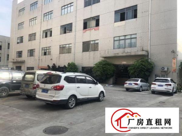 实图（原房东独院）厚街厂房5000方面积实量精装修