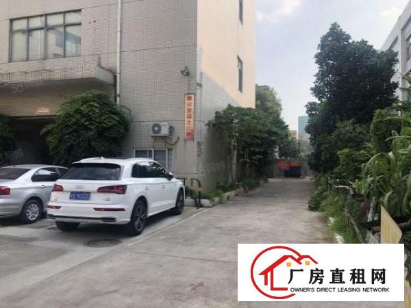  实图（原房东独院）厚街厂房5000方面积实量精装修