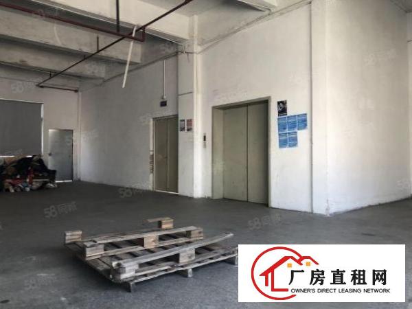  实图（原房东独院）厚街厂房5000方面积实量精装修