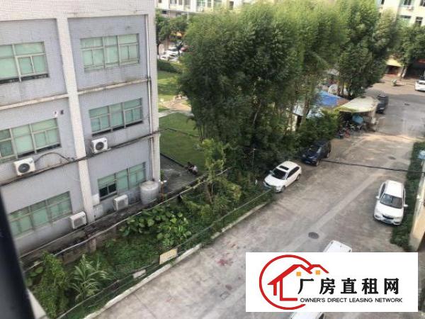  实图（原房东独院）厚街厂房5000方面积实量精装修