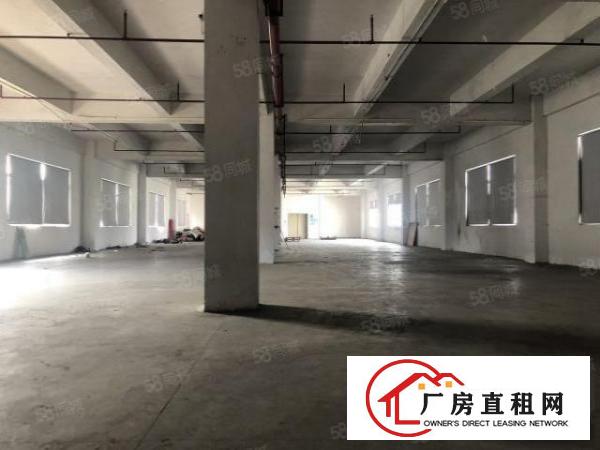  实图（原房东独院）厚街厂房5000方面积实量精装修