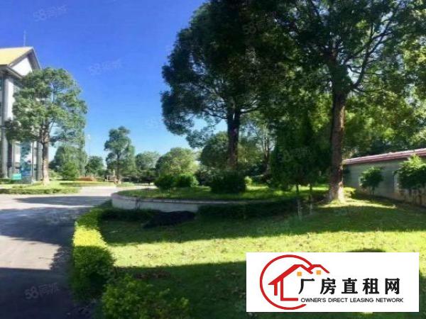  大型花园式工业园厂房出租