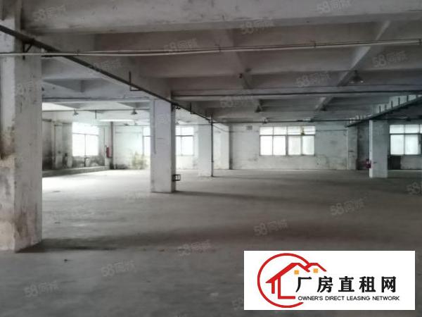  厚街新出独院6500平，工业用地可办环评，易招工