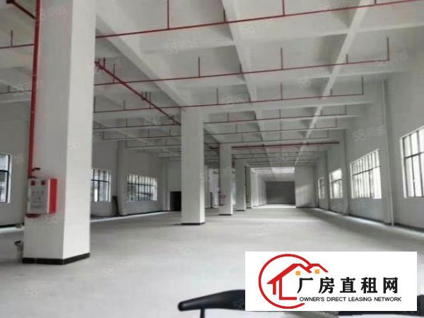  原房东厂房出租厚街桥头1楼1000平方