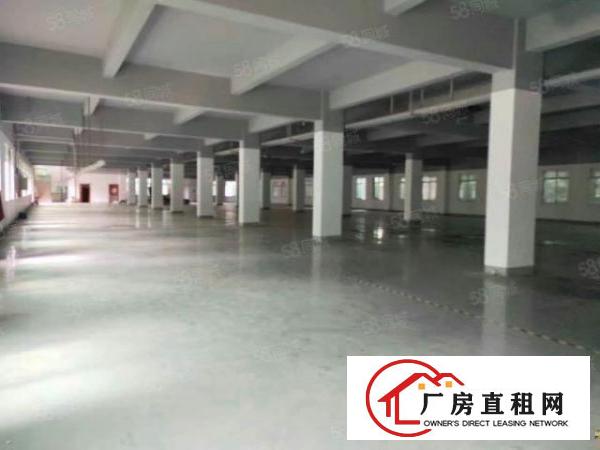  原房东厂房出租厚街桥头1楼1000平方