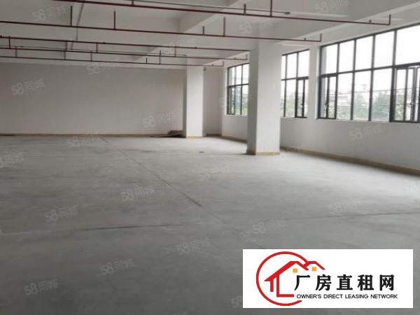  原房东厂房出租厚街桥头1楼1000平方