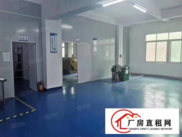  出租豪华装修无尘车间880平方