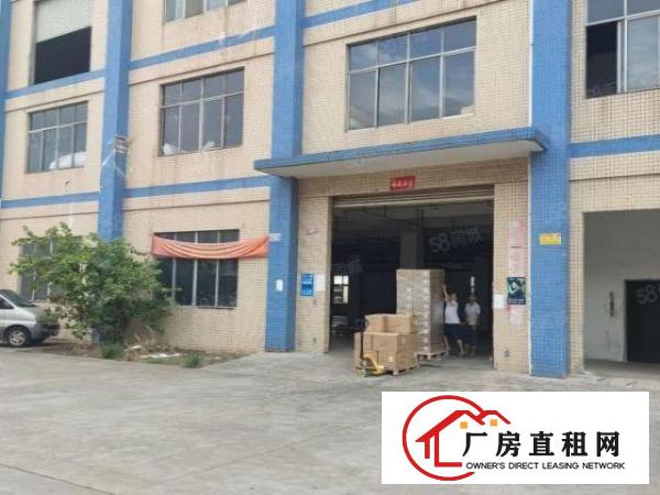  厚街沙塘园区一楼1500平厂房出租工业用地带消防喷淋水电齐全
