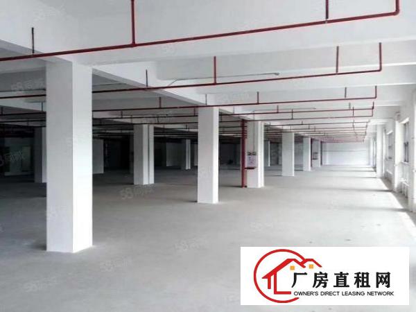  厚街沙塘园区一楼1500平厂房出租工业用地带消防喷淋水电齐全