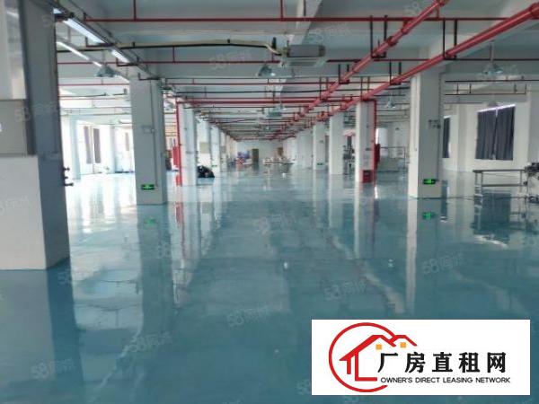  厚街新出楼上1500平口罩厂装修厂房，办公室地坪漆拎包入住