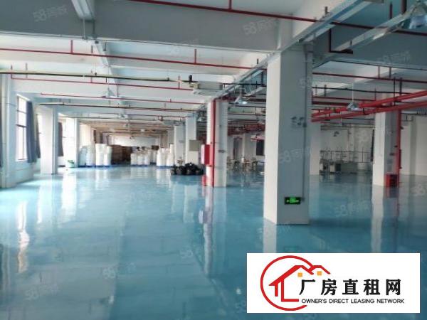  厚街新出楼上1500平口罩厂装修厂房，办公室地坪漆拎包入住