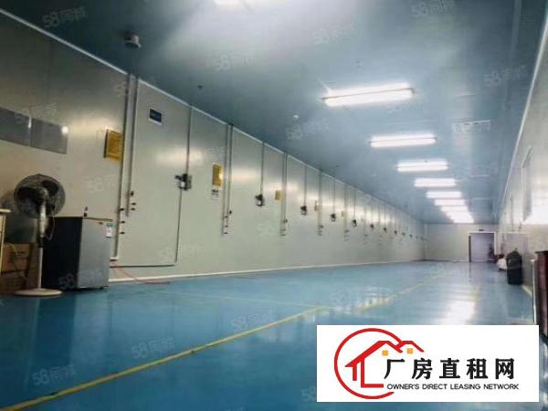  厚街镇花园式1层独门独院6800平方厂房出租！