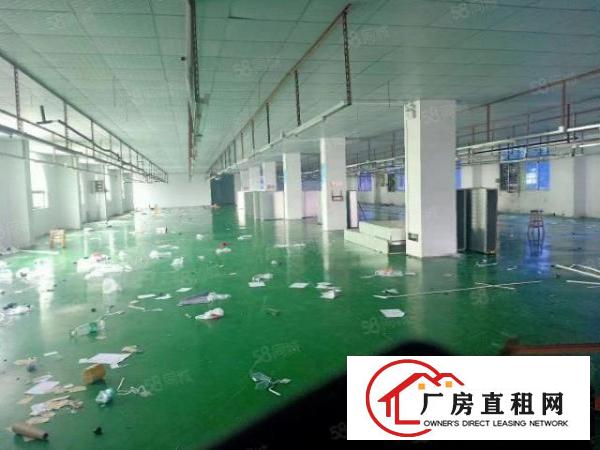  厚街原房东1500平方精装修吊顶地坪漆洁净车间