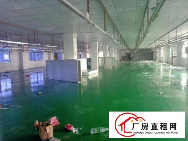 厚街原房东1500平方精装修吊顶地坪漆洁净车间