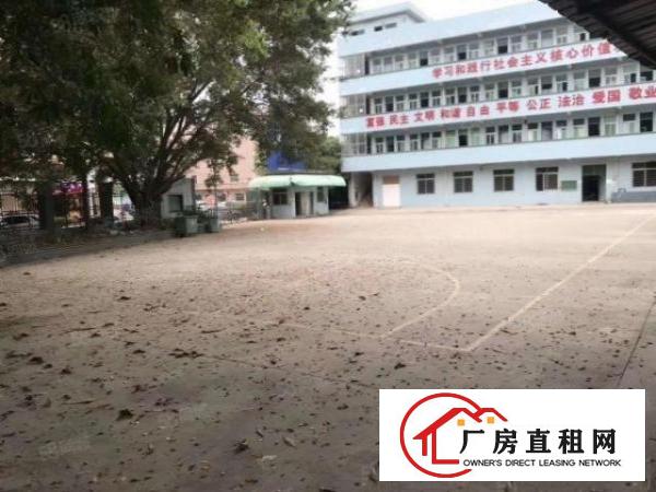  厚街原房东1500平方精装修吊顶地坪漆洁净车间